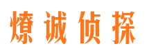 安岳找人公司